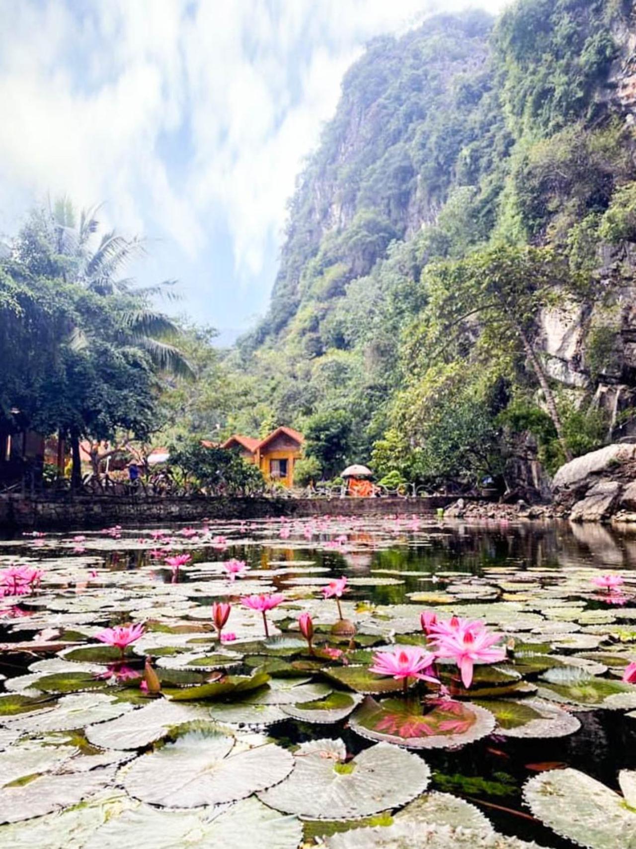 Tam Coc Rocky Bungalow Ниньбинь Экстерьер фото